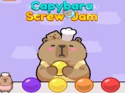 Mäng Capybara kruvikoom  Internetis