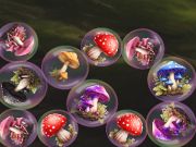 Mäng Mergemushrooms: 2048! Internetis