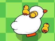 Mäng Duck Duck Clicker 3D  Internetis