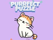 Mäng Purrfect mõistatus  Internetis