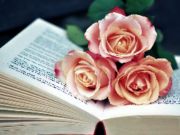 Mäng Blooms Jigsawi raamat Internetis