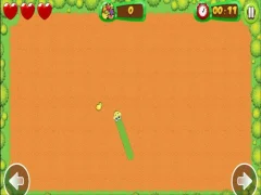 Mäng Fruit Snake Internetis