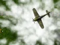 Mäng Skies of war Internetis