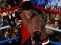 Mäng Ultimate Boxing Internetis