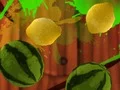 Mäng Fruit Break Internetis