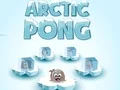 Mäng Arctic Pong Internetis