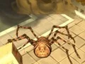 Mäng Spider Simulator: Amazing City Internetis