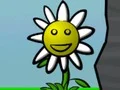 Mäng Flower Power Internetis