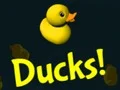 Mäng Ducks! Internetis