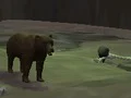 Mäng Bear Den Internetis
