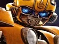 Mäng Bumblebee Hidden Spots Internetis