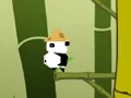 Mäng Panda Jump Internetis