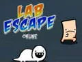 Mäng Lab Escape Online Internetis