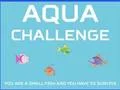 Mäng Aqua Challenge Internetis