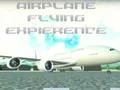 Mäng Airplane Flying Expierence Internetis