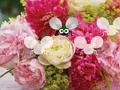 Mäng Pretty Blossom Wallpaper Escape Internetis