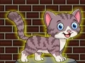 Mäng Loveable Small Cat Escape Internetis
