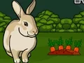 Mäng Rescue The Grey Rabbit Internetis