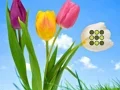 Mäng Flower Lawn Escape Internetis