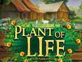 Mäng Plant of Life Internetis