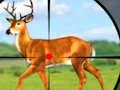 Mäng Wild Hunt Hunting Games 3D Internetis
