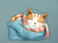 Mäng Adorable Escape Find Cute Kitten Internetis