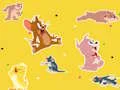 Mäng The Tom and Jerry Show Find it! Internetis