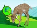 Mäng The Deer Meadow Escape Internetis