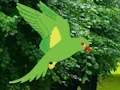 Mäng Parrot Find The Nest Internetis