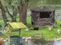 Mäng Mystery Lake Escape Internetis
