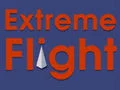 Mäng Extreme Flight Internetis