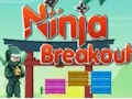 Mäng Ninja Breakout Internetis