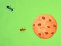 Mäng Ant vs Cookie Internetis