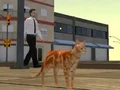 Mäng Cat City Simulator Internetis