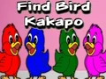 Mäng Find Bird Kakapo Internetis