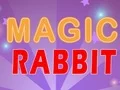 Mäng Magic Rabbit Internetis