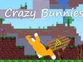 Mäng Crazy Bunnies Internetis