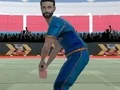 Mäng Cricket Powerplay Internetis