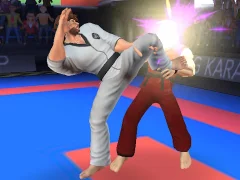 Mäng Karate Fighter Internetis
