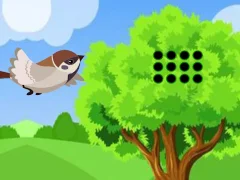 Mäng Sparrow Meets Crow Buddies Internetis