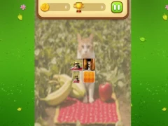 Mäng Farm Cat Memory Match Internetis