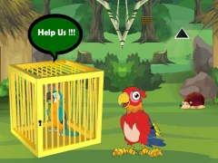 Mäng Release Trapped Macaw Buddy Internetis