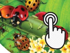Mäng Ladybug Clicker Internetis