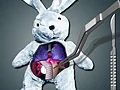 Mäng Save The Bunny Internetis