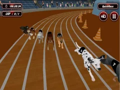 Mäng Crazyl Dog Racing Fever Internetis