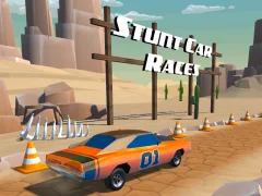 Mäng Stunt car Races Internetis