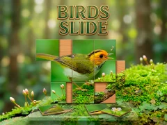 Mäng Birds Slide Internetis