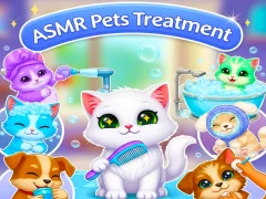 Mäng ASMR Pets Treatment Internetis