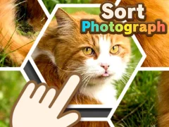 Mäng Sort Photograph Internetis