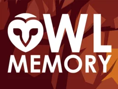 Mäng Owl Memory Internetis